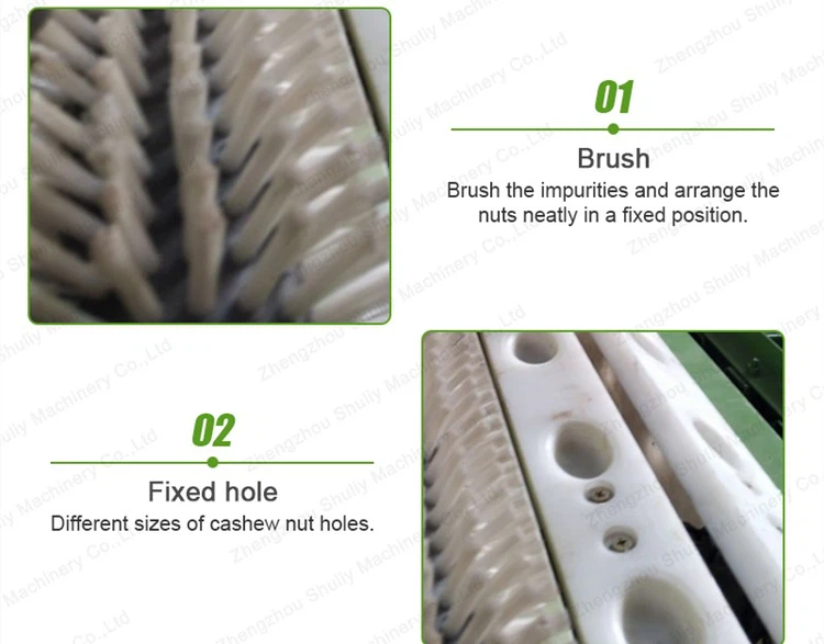 cashew sheller cashew sheller