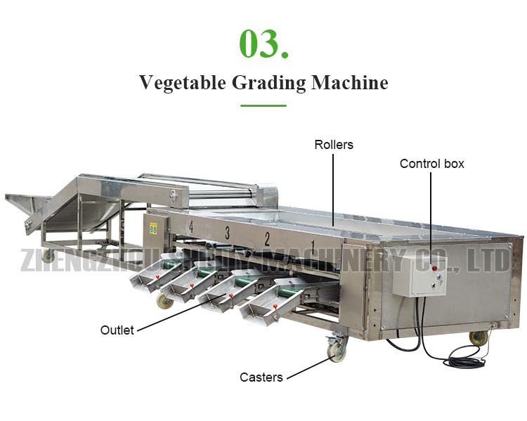 vegetable grading machine vegetable grading machine