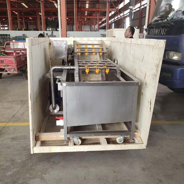 vegetable washing machine
