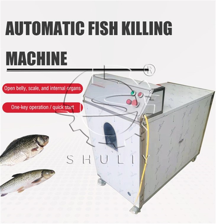 Fish Killing Machine