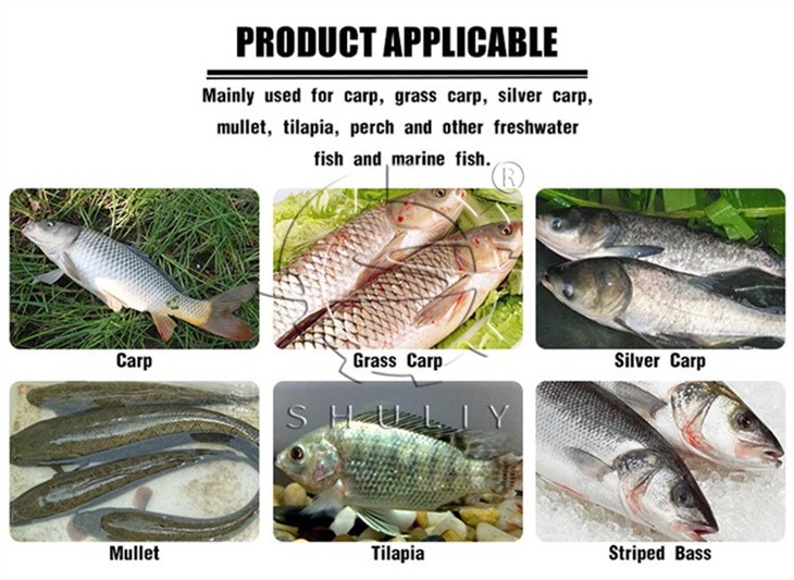 Fish Killing Machine