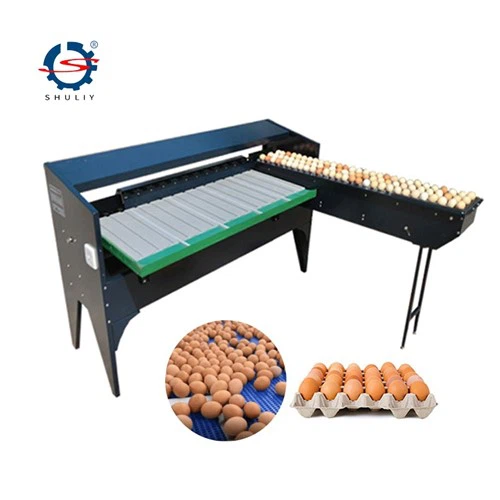 Niveleuse d'écailles d'œufs
