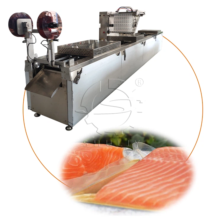 Stretch Vacuum Packing Machine (3)